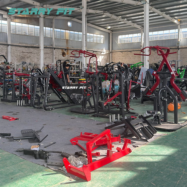 Agachamento dividido<br />BB-13 Agachamento dividido<br />BB-13