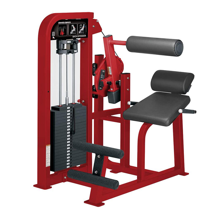 Músculos das Costas