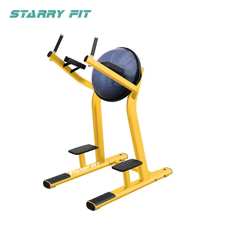 Elevação de perna<br />LF-R-SLR Elevação de perna<br />LF-R-SLR