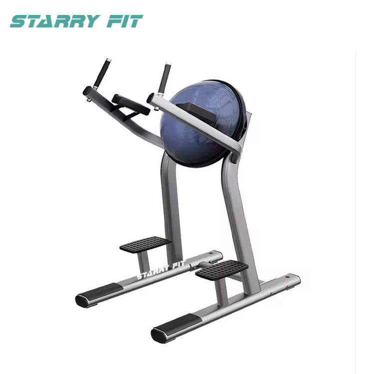 Elevação de perna<br />LF-R-SLR Elevação de perna<br />LF-R-SLR