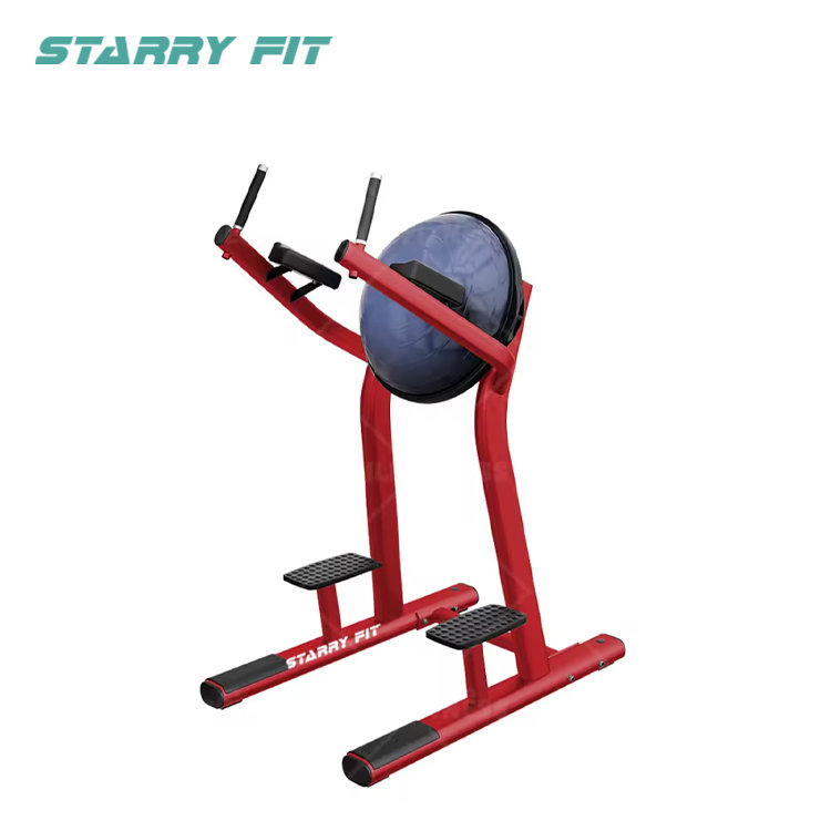 Elevação de perna<br />LF-R-SLR Elevação de perna<br />LF-R-SLR