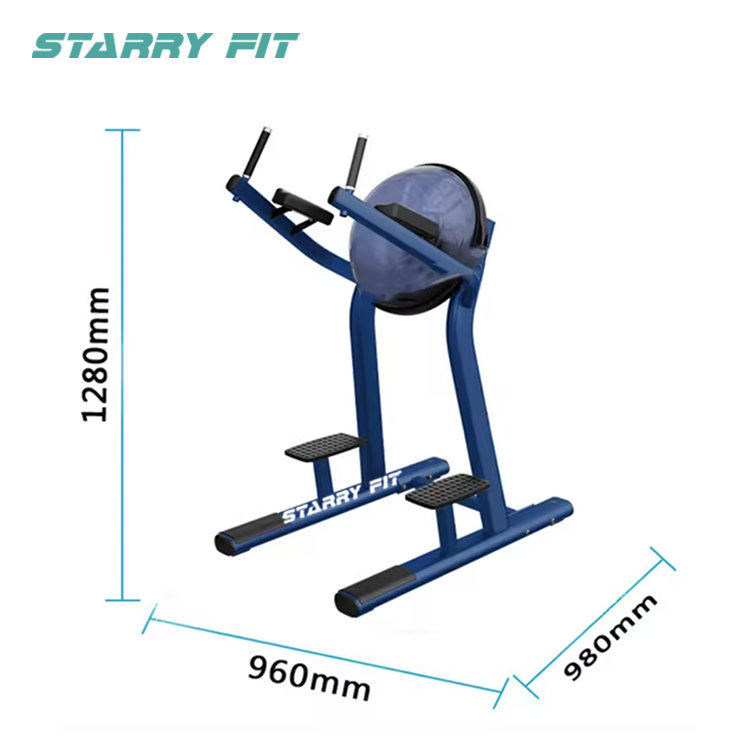 Elevação de perna<br />LF-R-SLR Elevação de perna<br />LF-R-SLR